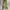 IF SIX WAS NINE Y2K Flare pants Wanita multicolor photo 1