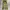 IF SIX WAS NINE Y2K Flare Pants Wanita Multicolor