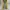 IF SIX WAS NINE Y2K Flare pants Wanita multicolor photo 2