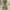 IF SIX WAS NINE Y2K Flare Pants Wanita Multicolor