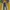 IF SIX WAS NINE Y2K Flare pants Wanita multicolor photo 5