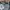 kaos polo UNBRAND CAMO pocket tee kaos kerah formal casual s photo 3