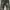 IF SIX WAS NINE Goth Y2K Flare pants Wanita black gray photo 3