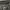 IF SIX WAS NINE Goth Y2K Flare pants Wanita black gray photo 7