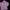 O'Neill Sportswear Track Jacket Wanita Pink