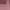 O'Neill Sportswear Track jacket Wanita pink photo 7