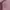 O'Neill Sportswear Track jacket Wanita pink photo 2