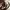 Louis Vuitton Luxury Handbag Wanita brown photo 4