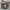 Sling bag Adidas orlando  photo 1