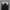 Dickies double knee loose fit Black photo 6