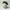 Kangol 504 Wool Flannel Grey Flatcap  photo 1