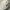 Kangol x Supreme 504 Tropic Ventair Logo Cream photo 6