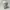 Kangol x Supreme 504 Tropic Ventair Logo Cream photo 1