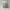 Kangol x Supreme 504 Tropic Ventair Logo Cream photo 5