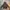 Human Greatness Hoodie Zip Up Dark Brown photo 1