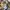 FULL COUNT osaka japan flannel shirt size 38 fit M photo 3