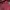 Vintage Biker Leather jacket Pria burgundy brown photo 8