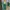 Knitt green photo 1