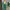 Knitt Green