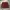 Colorbox Brown Skirt