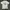 Ali Band Shirt photo 1