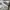 VANS Streetwear Grunge Hoody Pria white photo 4