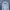 Hoodie Bendavis Spellout