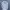Hoodie Bendavis Spellout
