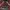 Converse Streetwear Casual Hoody Pria burgundy photo 2