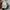 Coen tokyo japan streetwear t shirts pria grey photo 3