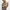 Marks and Spencer Turtle Neck Top Sand photo 1