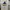 Kaos New Era x XLarge LA Lakers Mint Condition photo 1