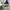 Kaos New Era x XLarge LA Lakers Mint Condition photo 7