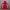 Ellesse Vintage Sportswear Track jacket Pria red photo 1