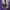 Minimalist Hoody Pria purple photo 5