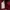 MAMMUT softech maroon photo 6