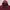 MAMMUT softech maroon photo 2