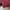 MAMMUT softech maroon photo 5