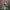 Kyary Pamyu pamyu ter photo 3