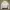 NIKE MINI LOGO HALFZIP HOODIE photo 3