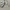 Y2K Minimalist Backpack Wanita gray photo 3