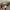 BAGGY PANTS CHINO - COVER photo 6