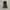 H&M Outerwear Kids Gray