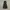 H&M Outerwear Kids Gray