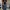 BALLON PANTS BAGGY - BAON photo 1