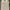 Polo Shirt Slazenger  photo 1