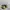 Vintage Y2K Sweatshirt Pria gray photo 5