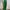 EARTHY Green Linen Wide Leg High Waist Pants photo 1