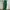 EARTHY Green Linen Wide Leg High Waist Pants