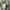 Polo Ralph Lauren Y2K Minimalist Formal shirt Pria multicolor photo 5